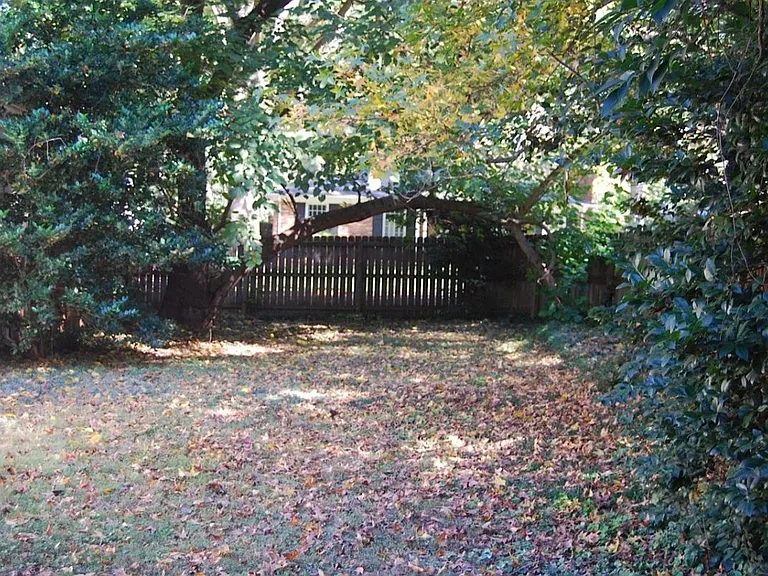 large back yard
