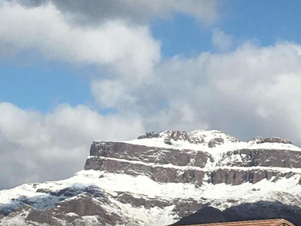 view from the back yard