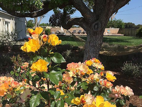 5th image of 1708 Los Carneros Ave