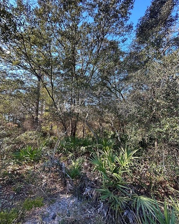 1st image of 11752 W Acacia Dr
