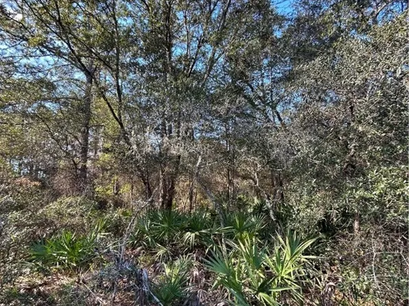 11752 W Acacia Dr, Crystal River, FL 34428