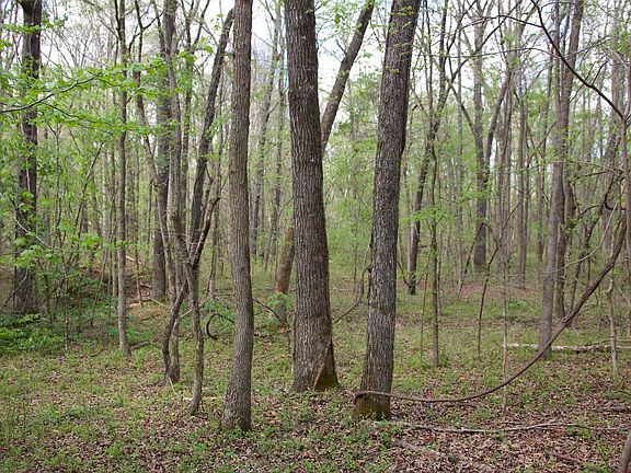2nd image of 2787 Bryan Rd