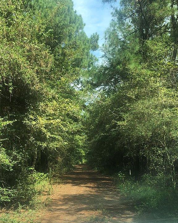 1st image of Tawnyberry Ln