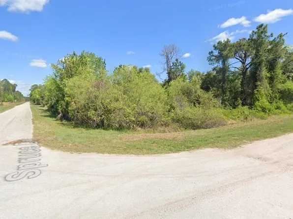 21 & Lot 22, Georgetown, FL 32139