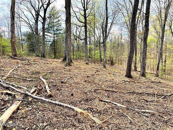 5th image of Melton Hill Dr