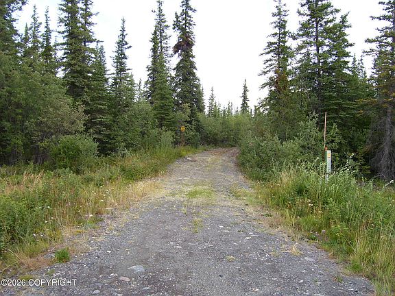 5th image of Mile 115 Richardson Hwy