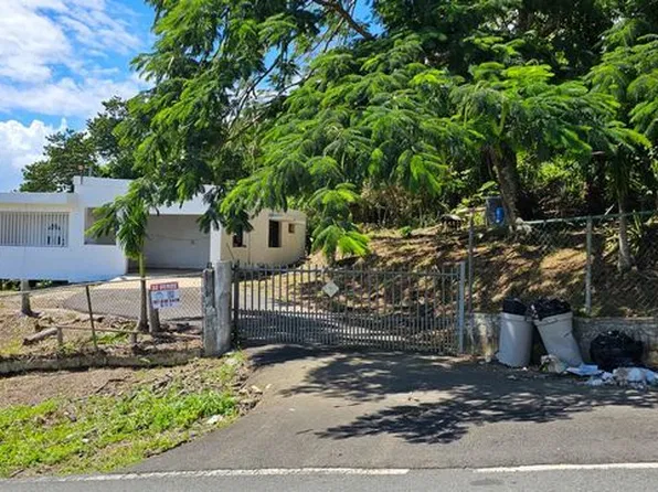 Sector Tiza Bo Naranjo Carr 145 Km #4.5, Comerio, PR 00782