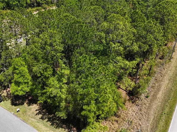 Pine Lands Dr Lot 558, Wesley Chapel, FL 33544