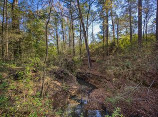 595 An County Rd #1773, Grapeland, TX 75844