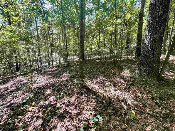 65 Woodrun Dr Lot 65, Middleton, TN 38052