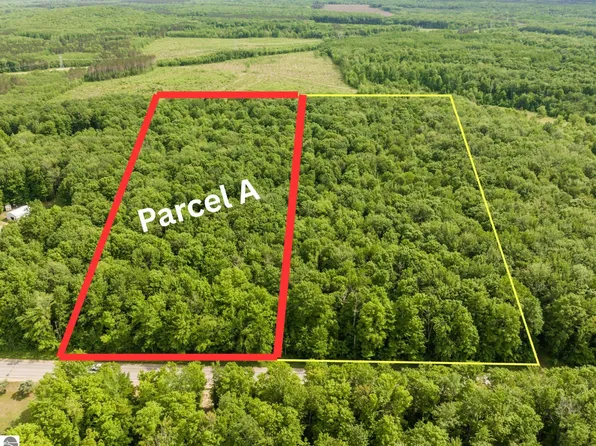 PARCEL Mancelona Rd #A, Mancelona, MI 49659