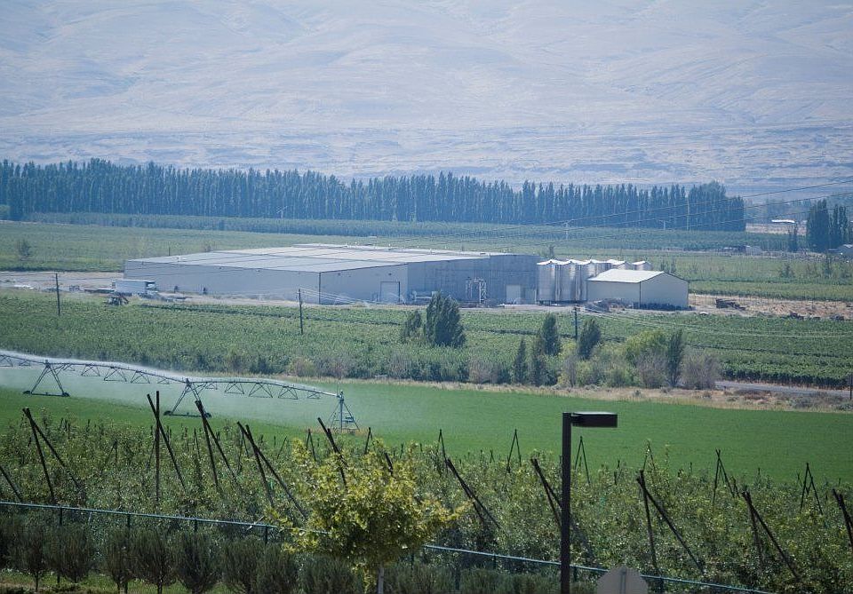 For Sale: 24962 Highway 243 South, Mattawa, Washington 99349