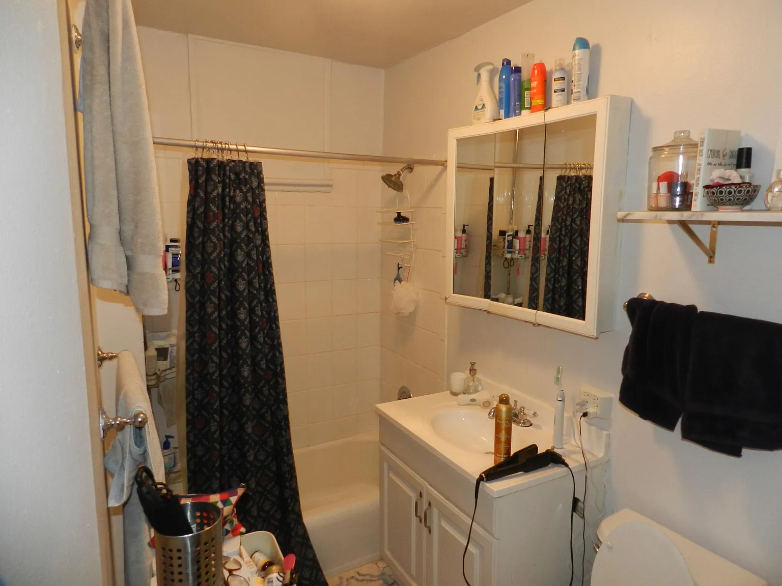 509 W Arlington Pl — Photo 4