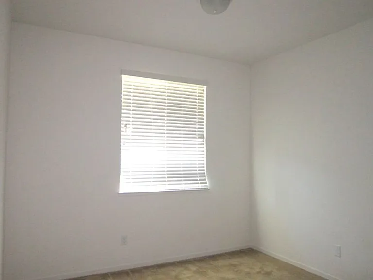 2554 Pine Brook Dr — Photo 10