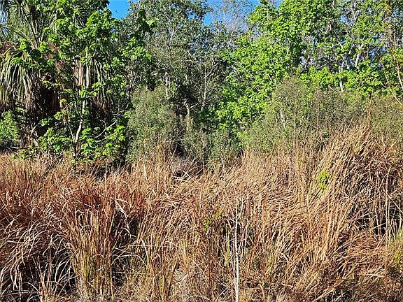 5th image of Timberlane Rd