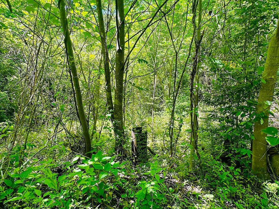 1st image of Stoney Fork Rd #141-020.00