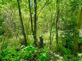 Stoney Fork Rd #141-020.00, Caryville, TN 37714