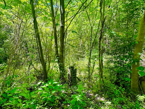 Stoney Fork Rd #141-020.00, Caryville, TN 37714