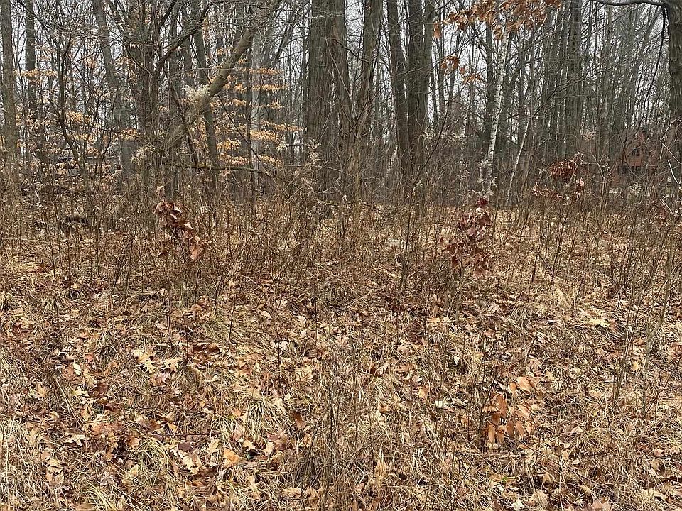 1st image of White Birch Dr