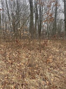 White Birch Dr, Farwell, MI, 48622