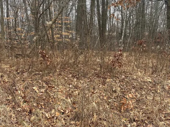 White Birch Dr, Farwell, MI 48622