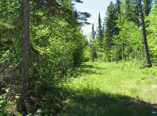 Xx3 Boreal Ln, Lutsen, MN 55612