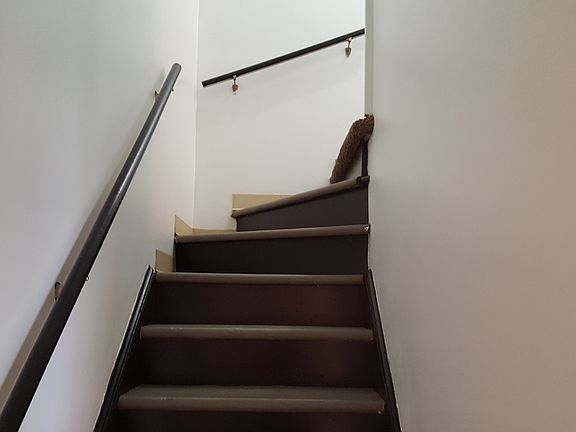 Steps