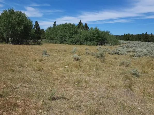 16 Tract /, Helmville, MT 59843