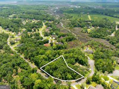 147 Merganser, Brunswick, GA, 31523