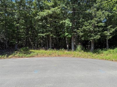 Park Avenue, Pt Jefferson, NY, 11777