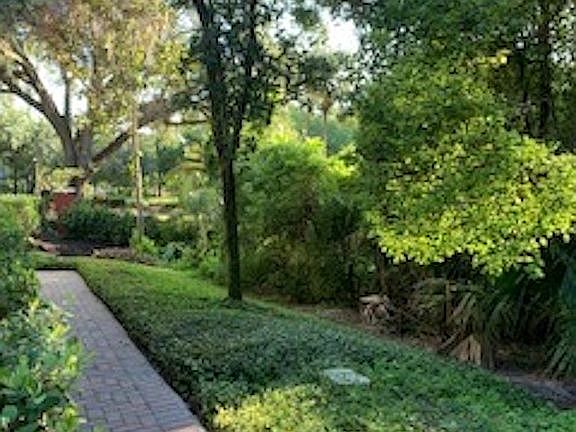 Next to Conservation Area