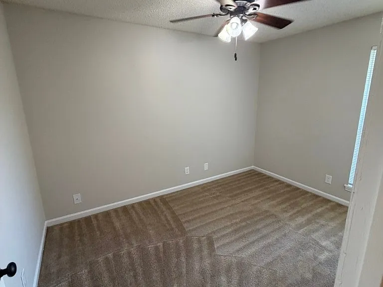 1002 Palmer Dr #5 — Photo 10