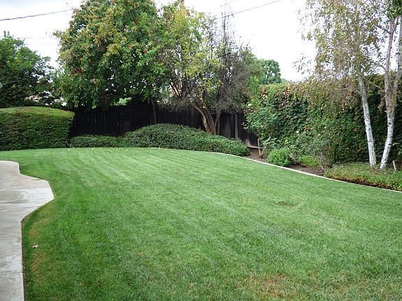 Large Yard