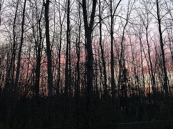 Sunset View - Backyard