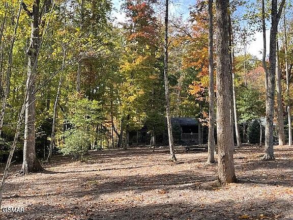 2nd image of 3950 Forest Trail Dr