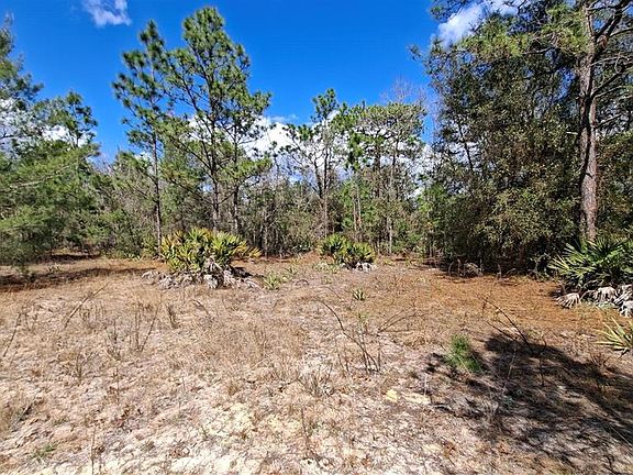 5th image of FISHER RUN LOT 6
