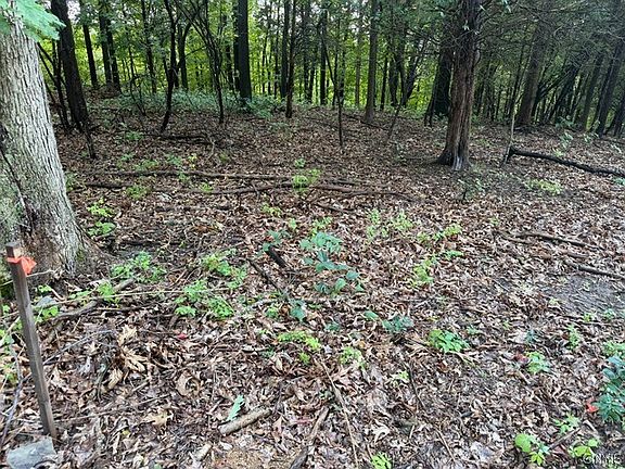4th image of 4627 State Route 414 Lot 14