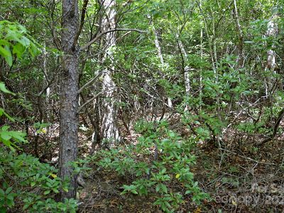 0 Jarrell Loop, Old Fort, NC, 28762