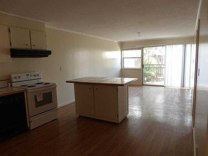 Living-kitchen Area