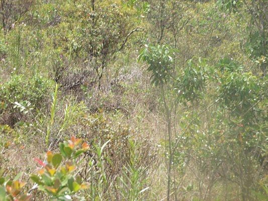 3rd image of Hilonani Dr Lot 4