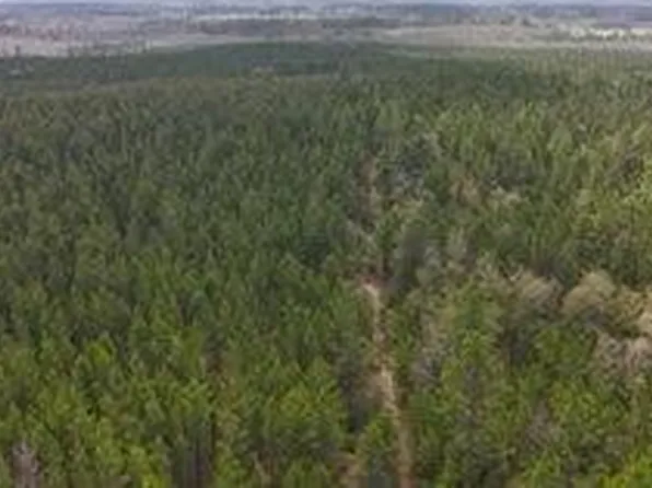 TRACT 6418 Mattox Springs Rd #S3, Caryville, FL 32427