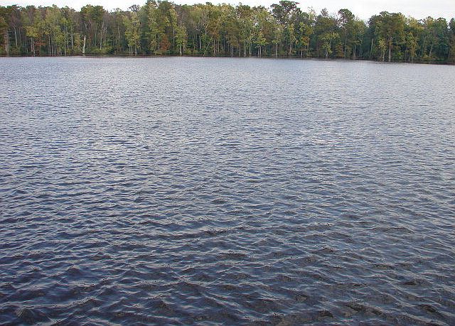 1st image of TBD River Bluff Drive LOT 14