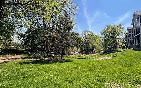 Sun Lake Woods Backyard