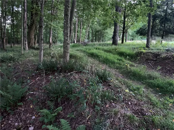 LOT Dodds Rd, Butler, PA 16002