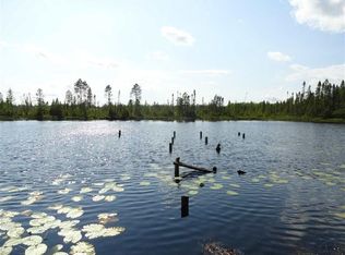 Marquette County Waterfront Tract, Republic, MI 49879