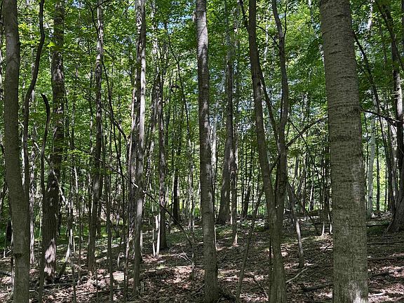 3rd image of Tbd Rivers Edge Trl