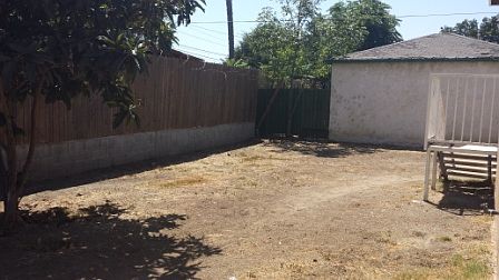 Back yard view