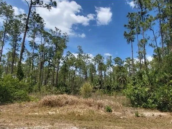 4045 12th AVE SE, NAPLES, FL 34117