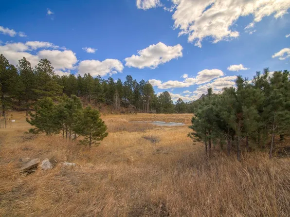 Park 1 Laramie Trl, Custer, SD 57730