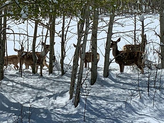 4th image of 0 Michigan Hill Rd